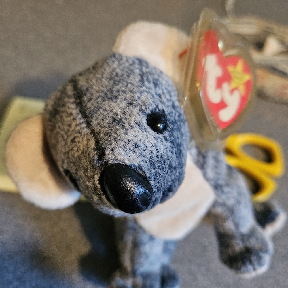 Eucalyptus, the koala bear.